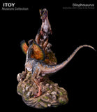 ITOY Museum Collection 1/15 Scale Dilophosaurus Fighting Model