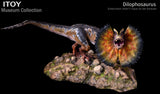 ITOY Museum Collection 1/15 Scale Dilophosaurus Fighting Model