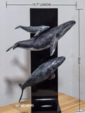Sumeru Studio 1:35 Scale Humpback Whale Scene Model Painted Version
