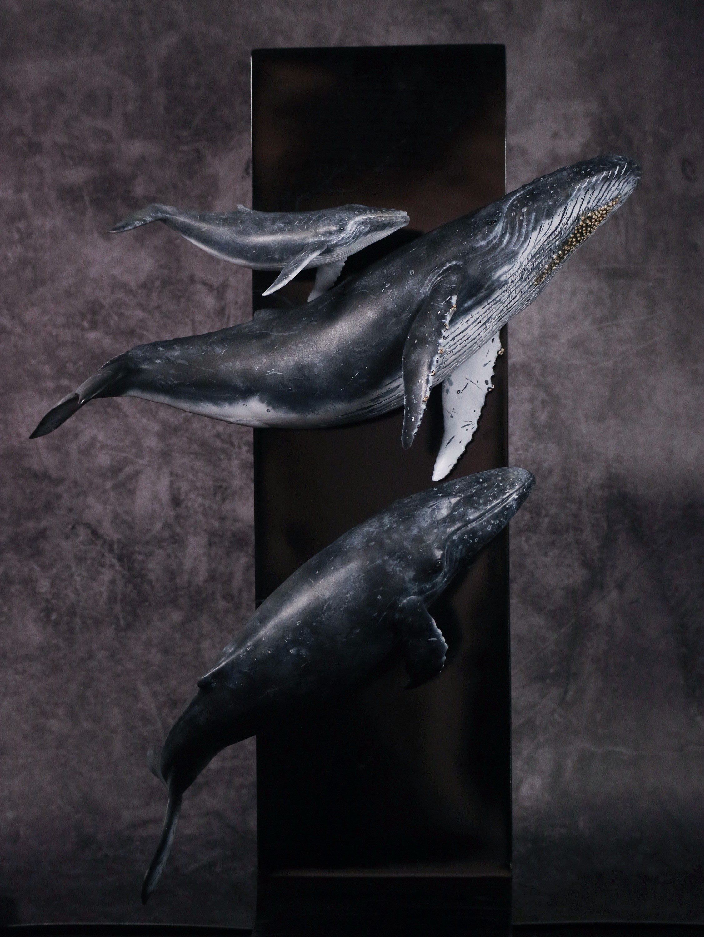 Sumeru Studio 1:35 Scale Humpback Whale Scene Model Painted Version