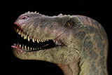 HOCHEN 1/20 Scale Tarbosaurus Hunt Hadrosaurs Scene Model