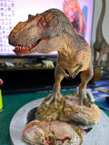 LINGHU ART STUDIO Daspletosaurus torosus Model