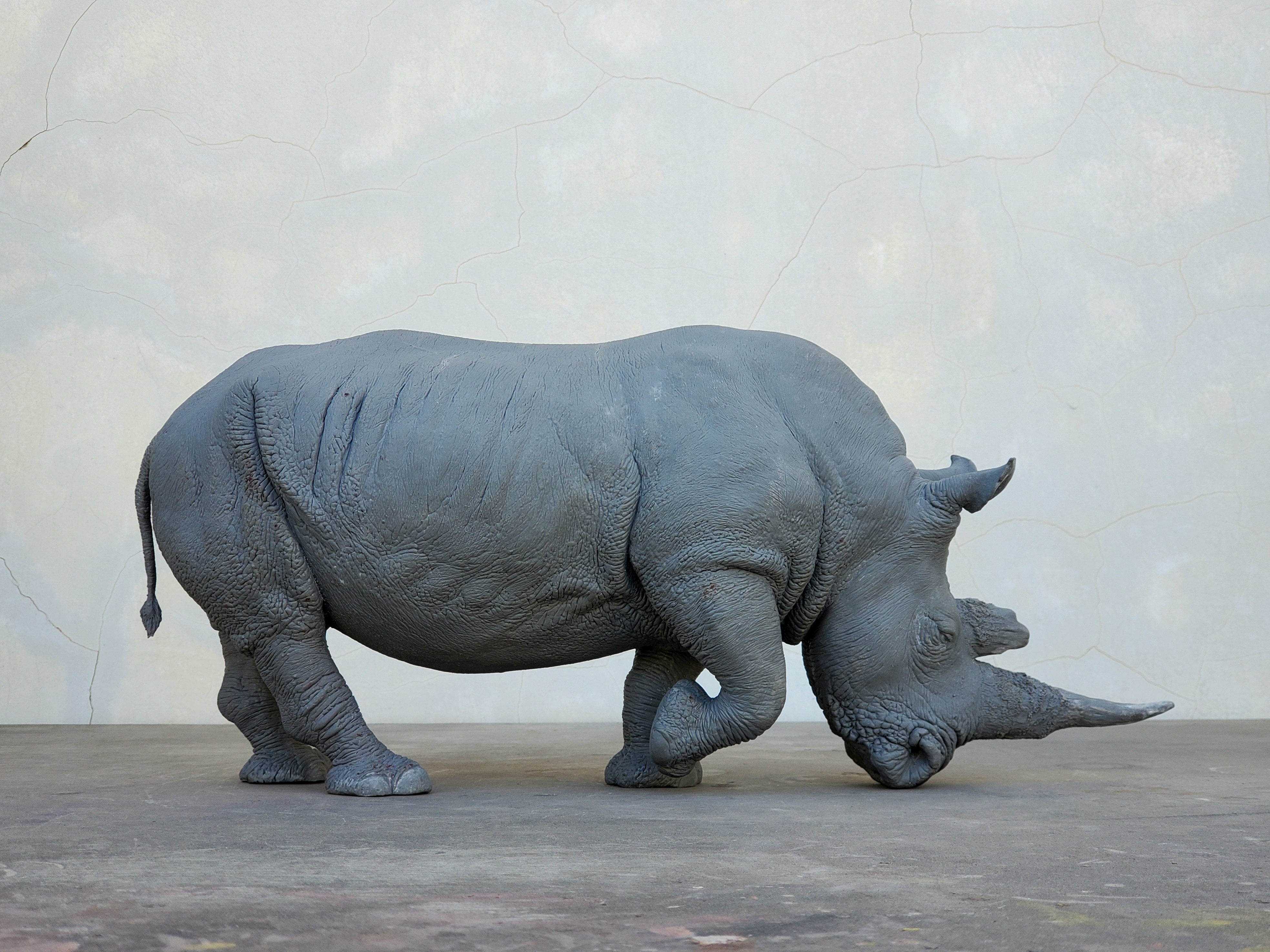 TUNAN Studio 1/10 Scale White Rhino Model