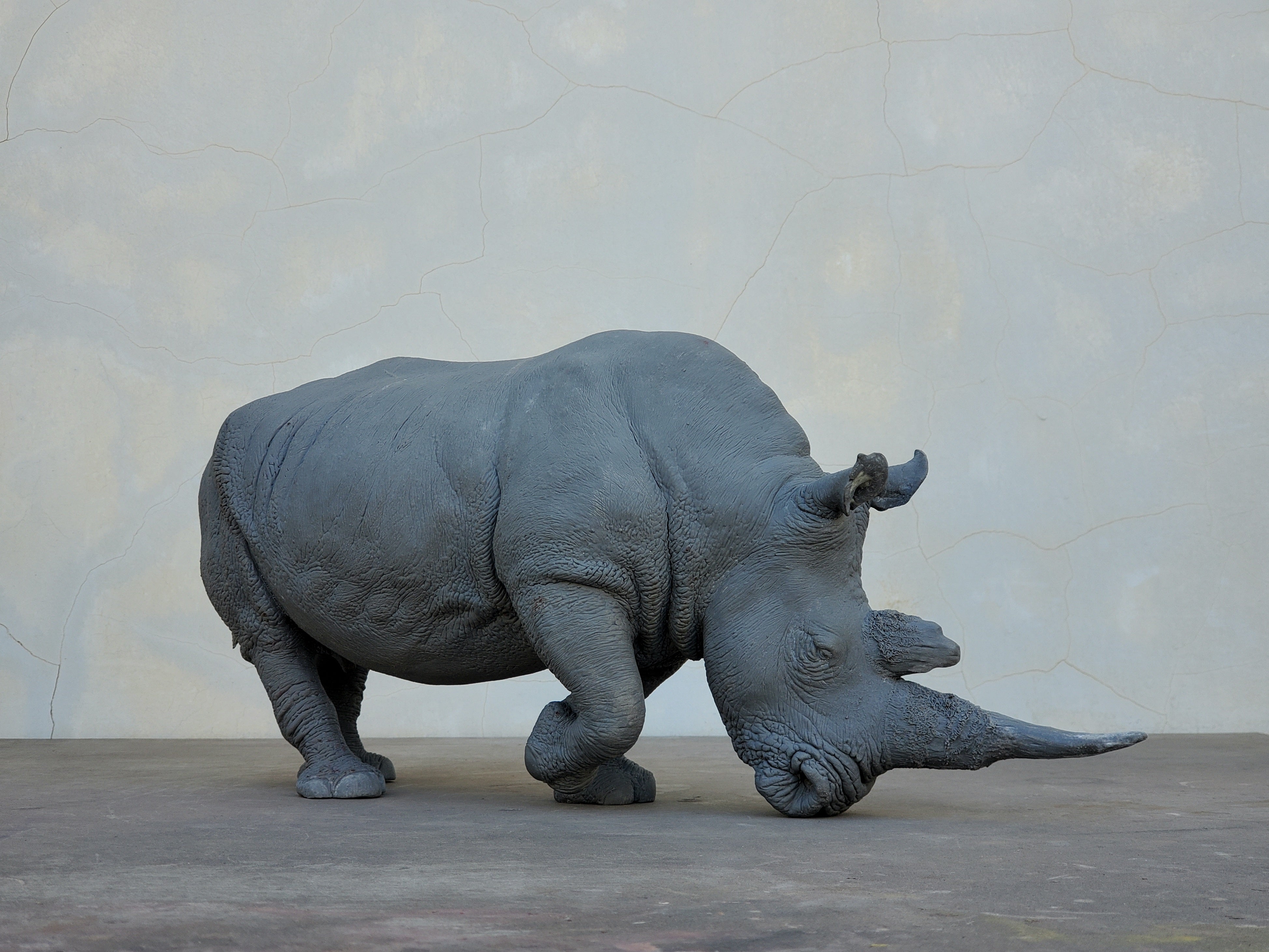 TUNAN Studio 1/10 Scale White Rhino Model