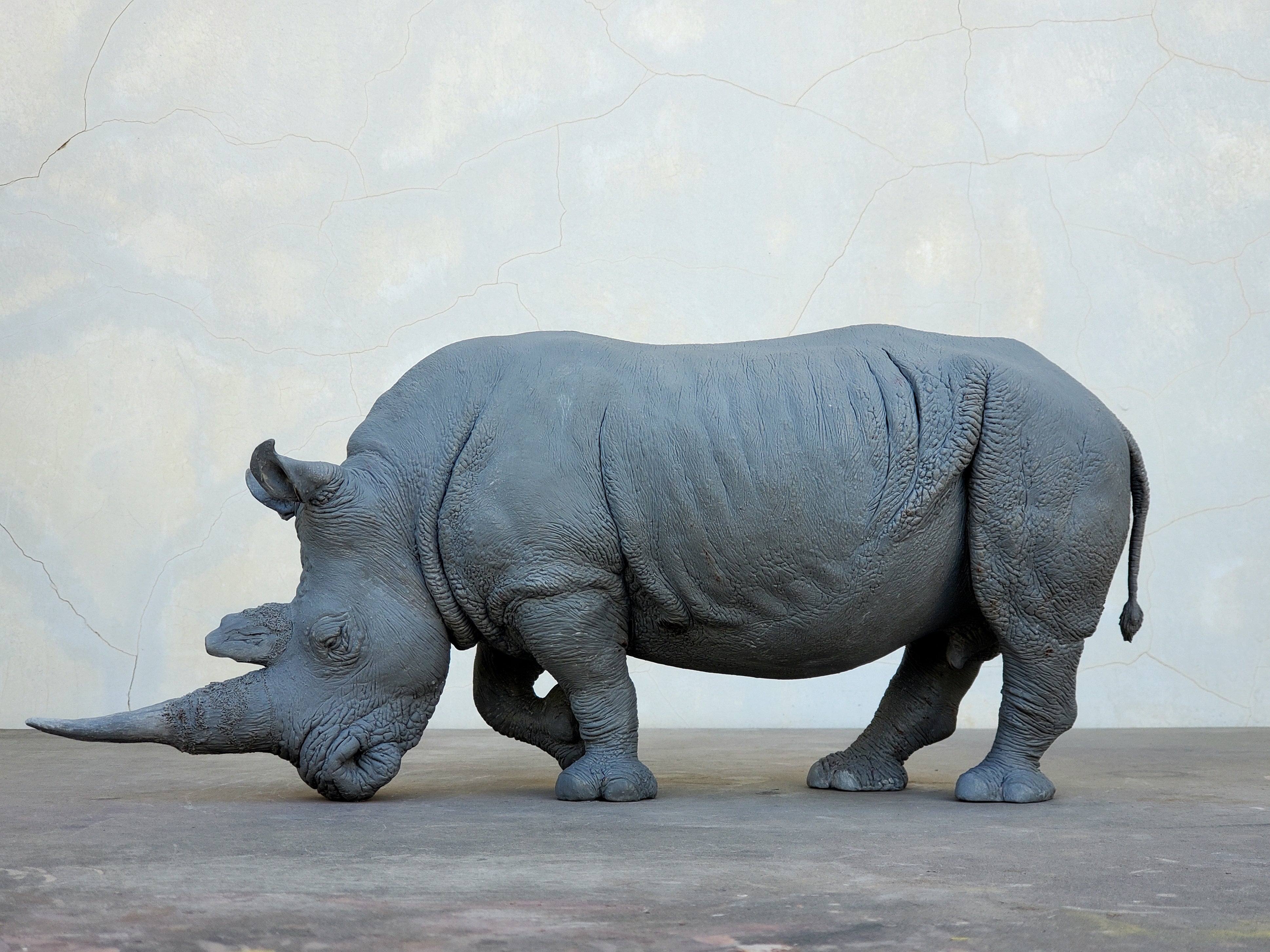 TUNAN Studio 1/10 Scale White Rhino Model