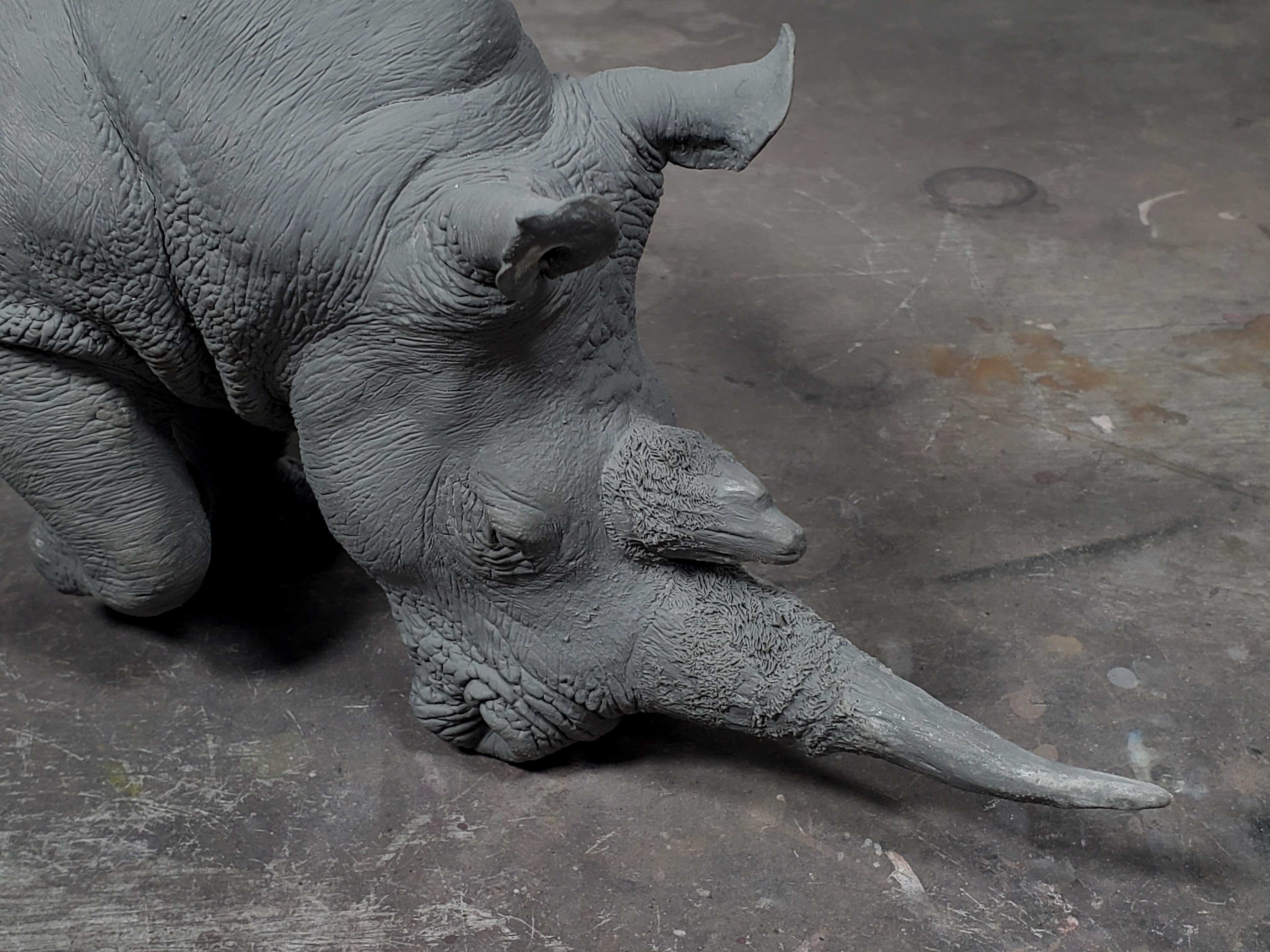 TUNAN Studio 1/10 Scale White Rhino Model