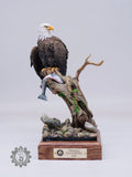 LEE Studio Bald Eagle Model