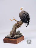 LEE Studio Bald Eagle Model
