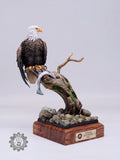 LEE Studio Bald Eagle Model