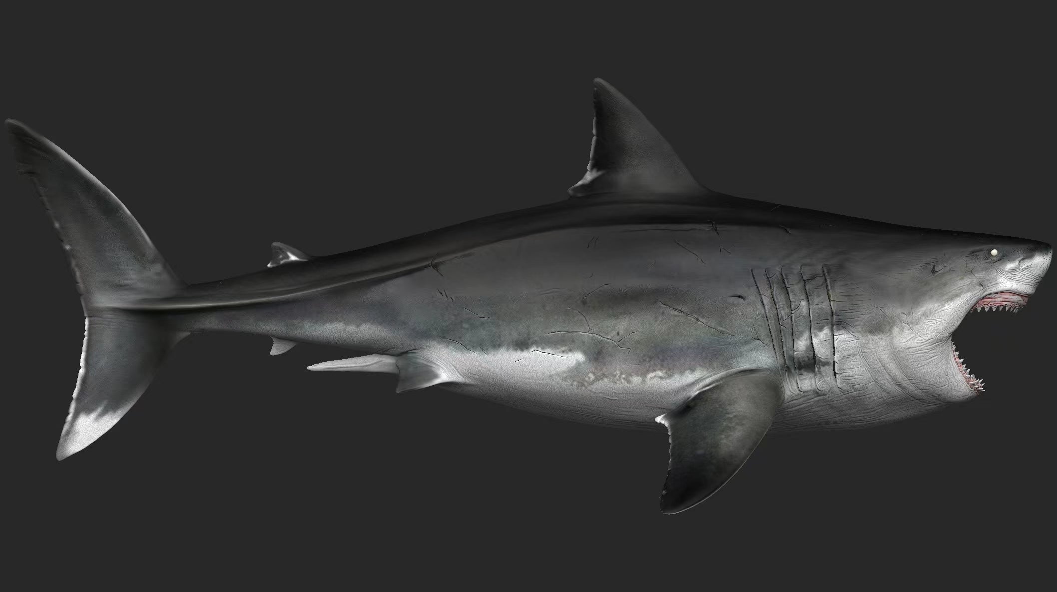 JA Studio Megalodon Hunting minke whale Model