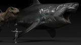 JA Studio Megalodon Hunting minke whale Model