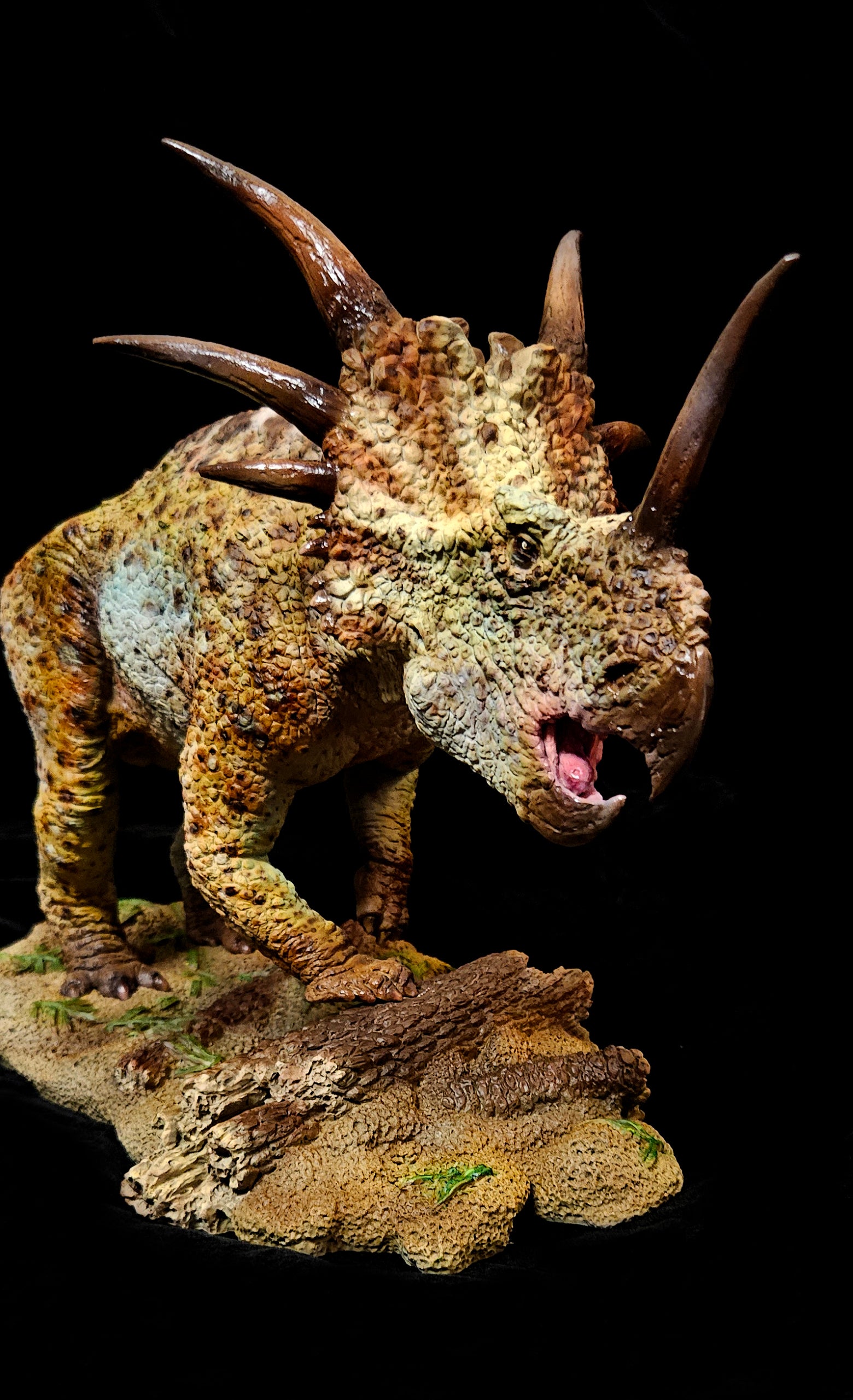 Sumeru Studio Styracosaurus Model