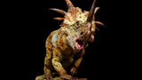 Sumeru Studio Styracosaurus Model