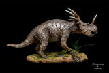 Sumeru Studio Styracosaurus Model