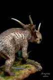 Sumeru Studio Styracosaurus Model