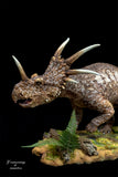 Sumeru Studio Styracosaurus Model