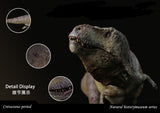 SHOWANNA Studio 1:35 Scale Tyrannosaurus Rex Scotty Model