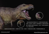 SHOWANNA Studio 1:35 Scale Tyrannosaurus Rex Scotty Model