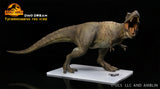 DINO DREAM 1:30 Scale Tyrannosaurus Rex Figure