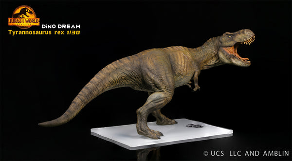 アート・デザイン・音楽 DINOSAUR DREAMS Dinosaur Dreams: Imagination and Creation of the Lost World