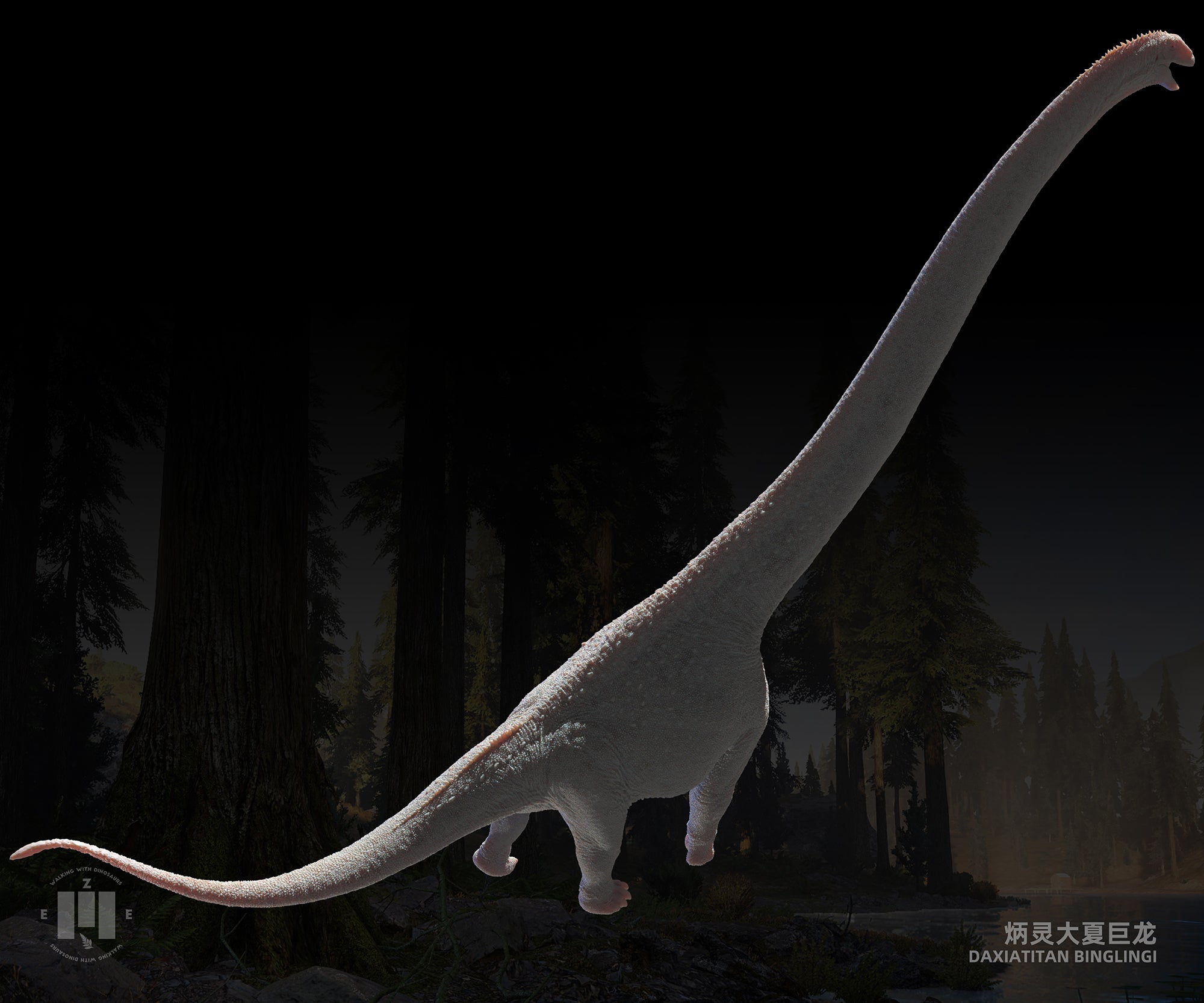 ZEE STUDIO Daxiatitan binglingi Model Lana Time Shop