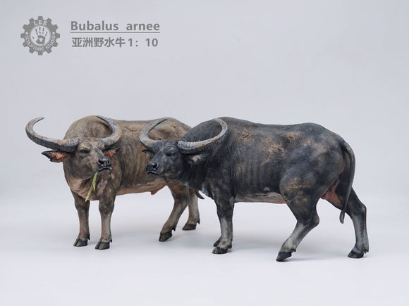 LEE Sculpture Studio 1/10 Scale Wild Water Buffalo Model