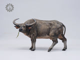 LEE Sculpture Studio 1/10 Scale Wild Water Buffalo Model