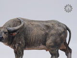 LEE Sculpture Studio 1/10 Scale Wild Water Buffalo Model