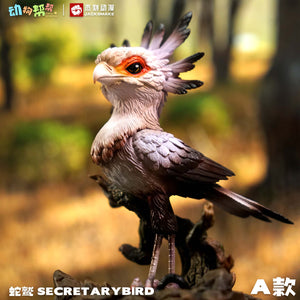 Animal Protection Act Studio Secretary Bird Model