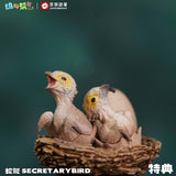 Animal Protection Act Studio Secretary Bird Model