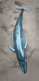 Sumeru Studio 1:35 Scale Blue Whale Model