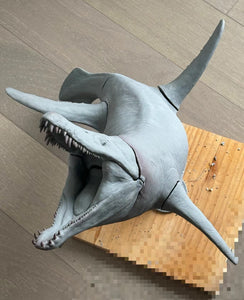 Cen DaoYi Studio 1:18 Scale Sachicasaurus vitae Model