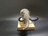 lion studio 1:35 Scale Mammut americanum Model