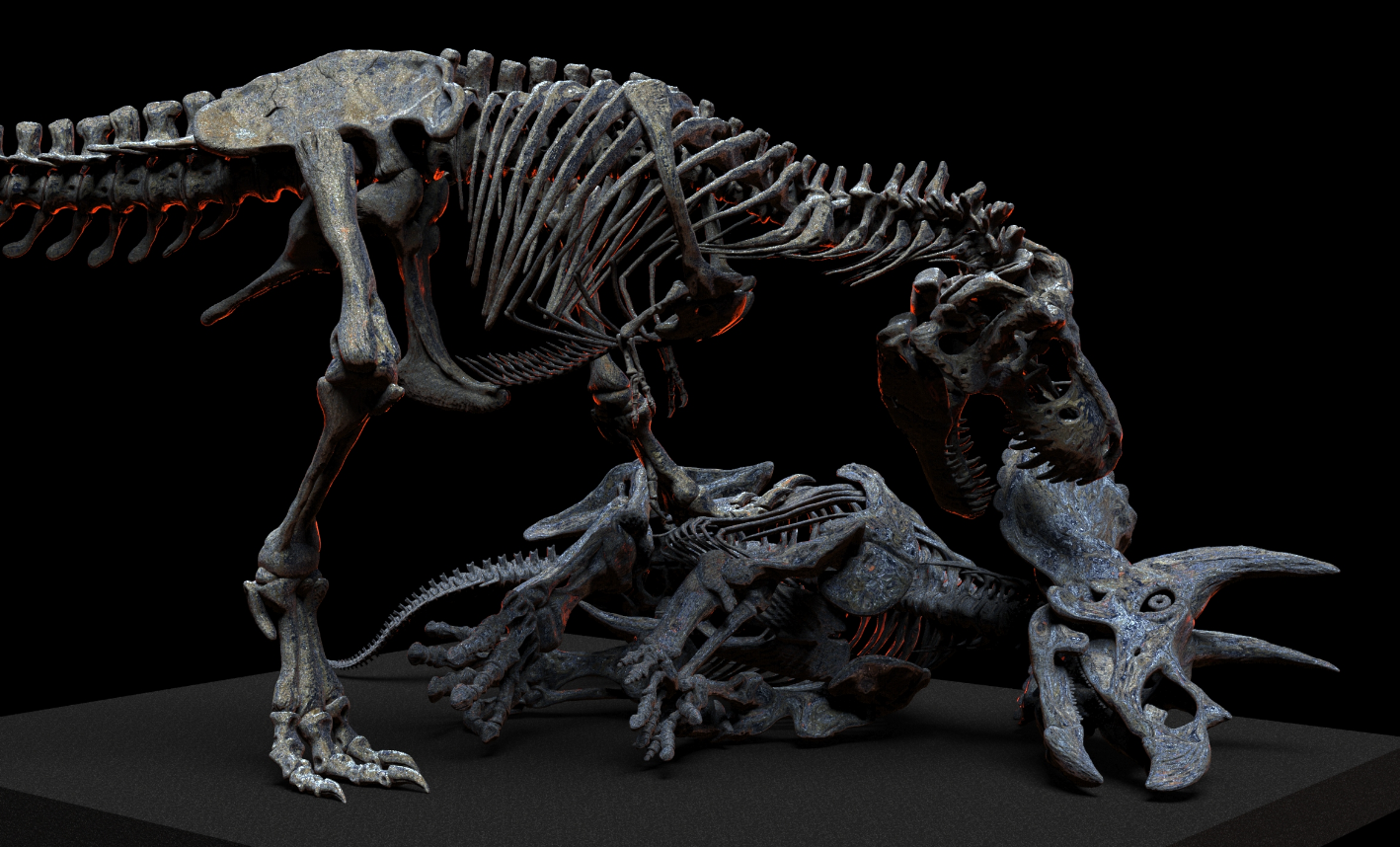1/18 Scale Tyrannosaurus Rex Hunt Triceratops Skeleton Model