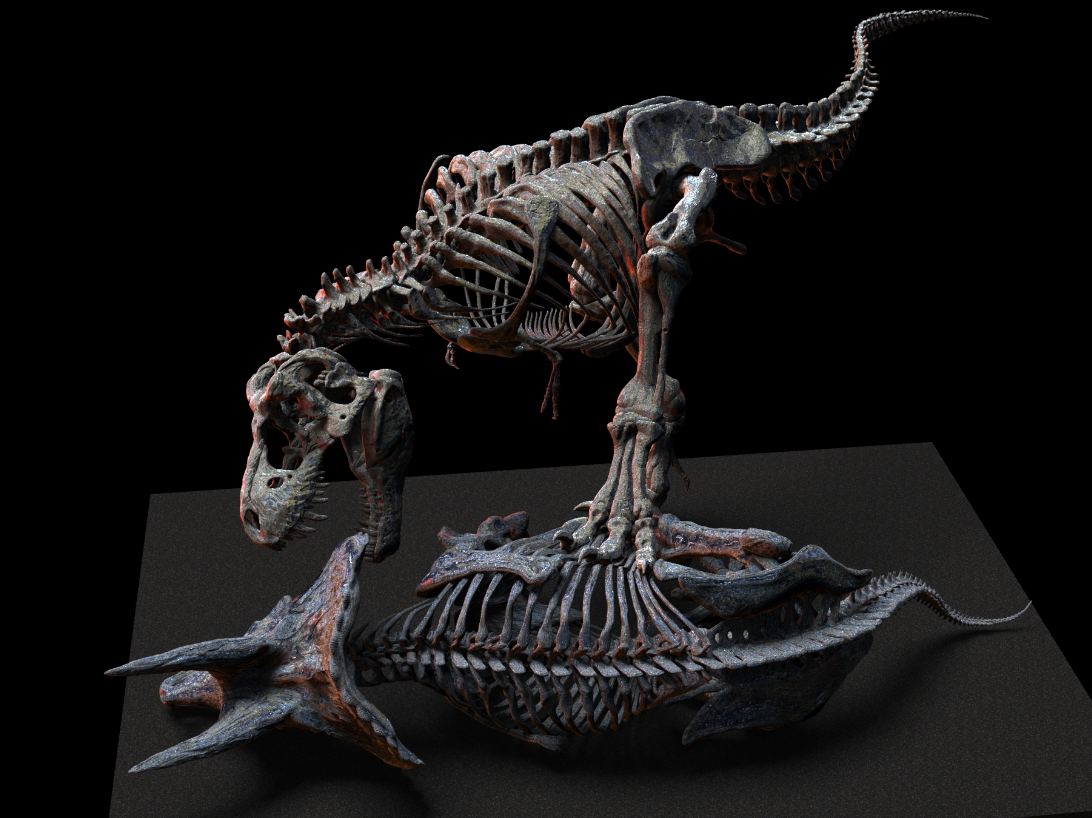 1/18 Scale Tyrannosaurus Rex Hunt Triceratops Skeleton Model