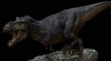 Greenhouse Revolution Studio 1/35 Scale Tyrannosaurus Rex Model