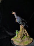 Lazur Studio 1/2 Scale Microraptor Model