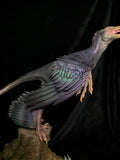 Lazur Studio 1/2 Scale Microraptor Model