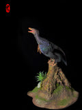 Lazur Studio 1/2 Scale Microraptor Model