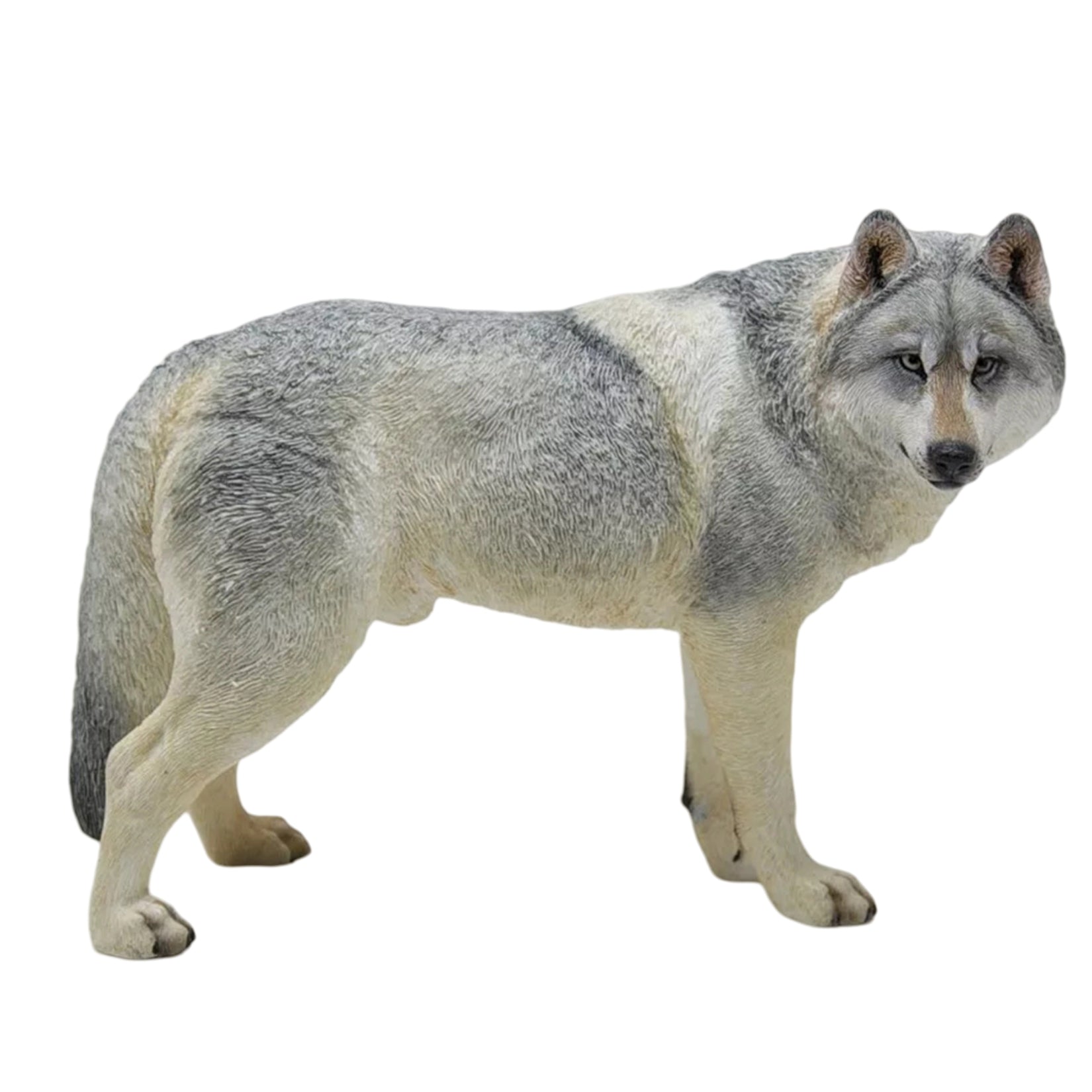 1/6 Steppe Wolf Figure
