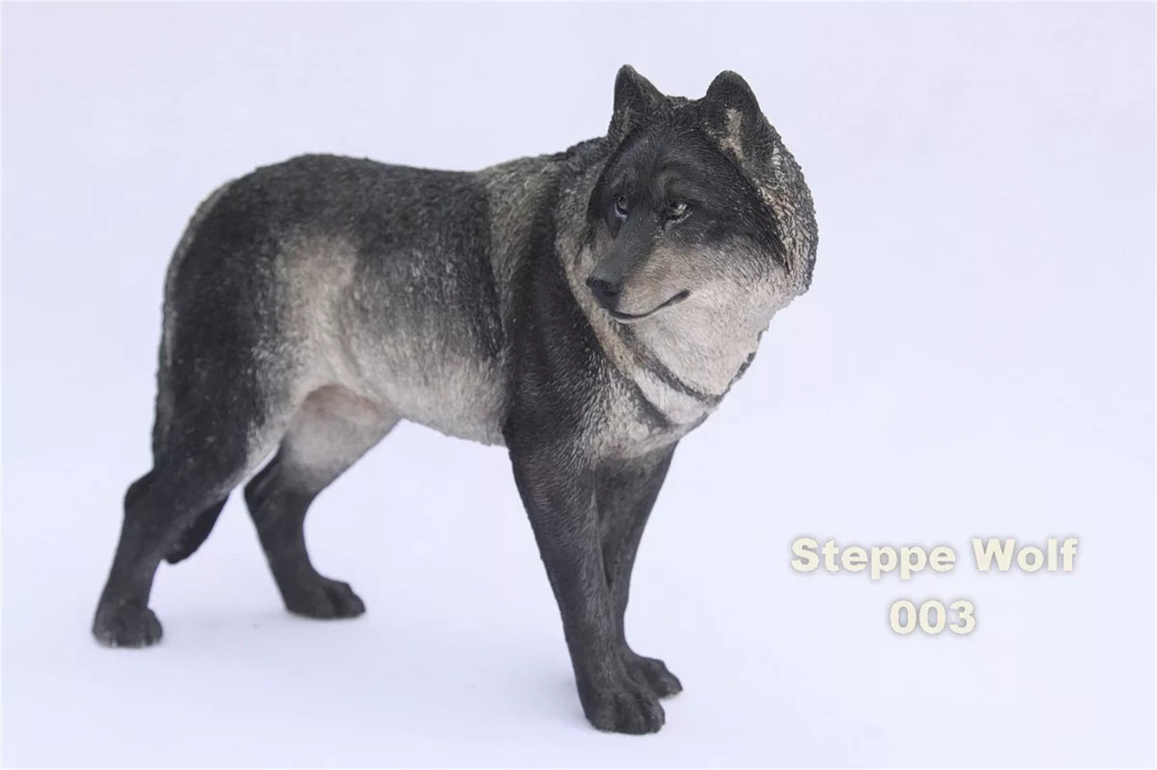 1/6 Steppe Wolf Figure