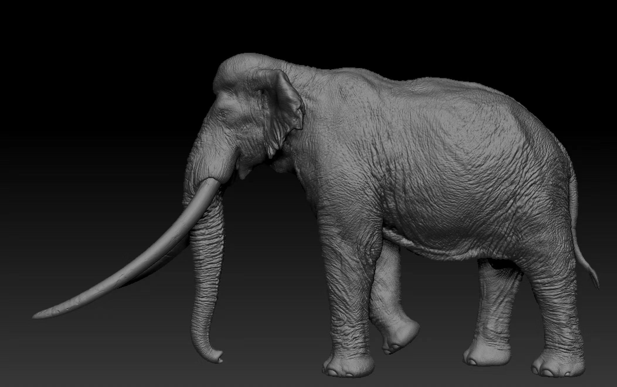 SHOWANNA Palaeoloxodon antiquus Model