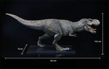 DINO DREAM 1:30 Scale Tyrannosaurus Rex Dark Version Figure