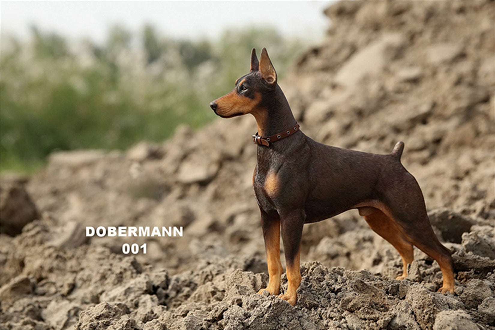 1/6 Dobermann Figure