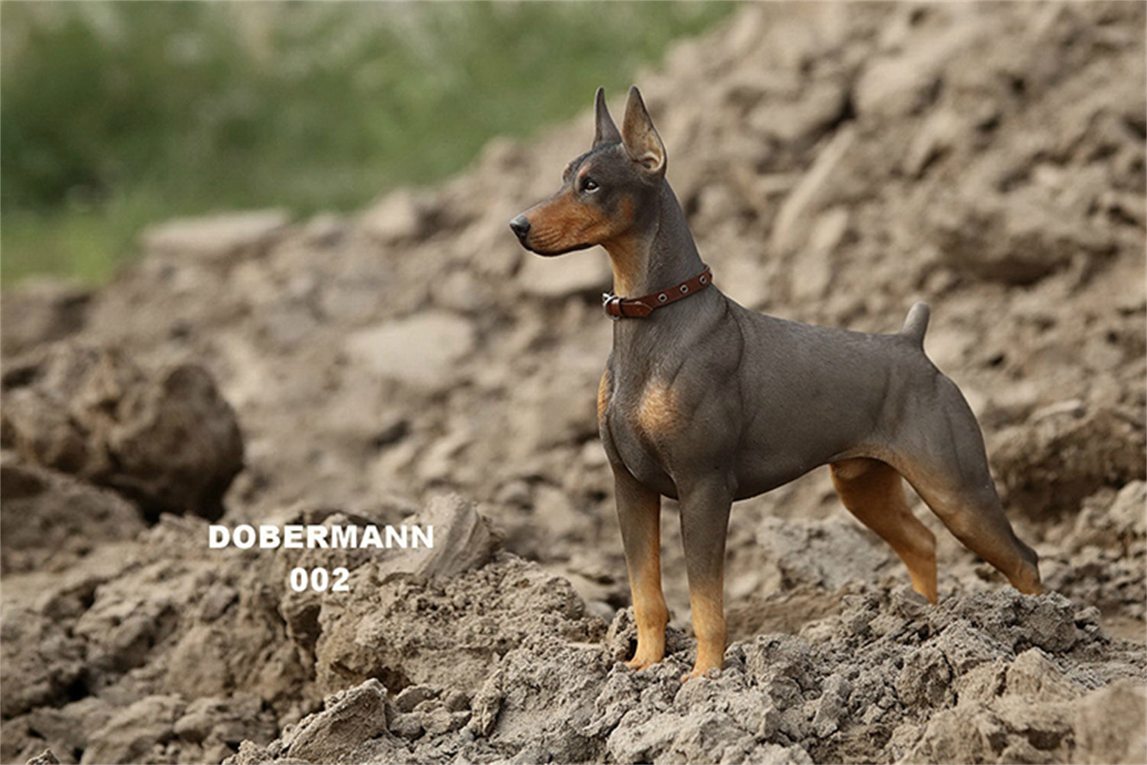 1/6 Dobermann Figure