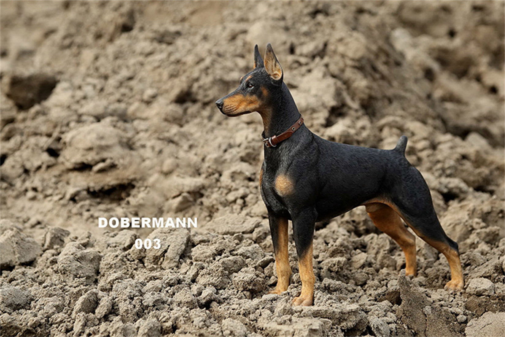 1/6 Dobermann Figure
