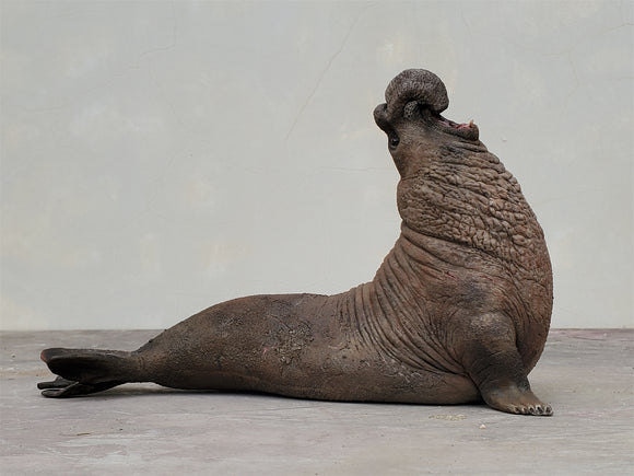 TUNAN Studio 1/15~18 Scale Southern elephant-seal Model