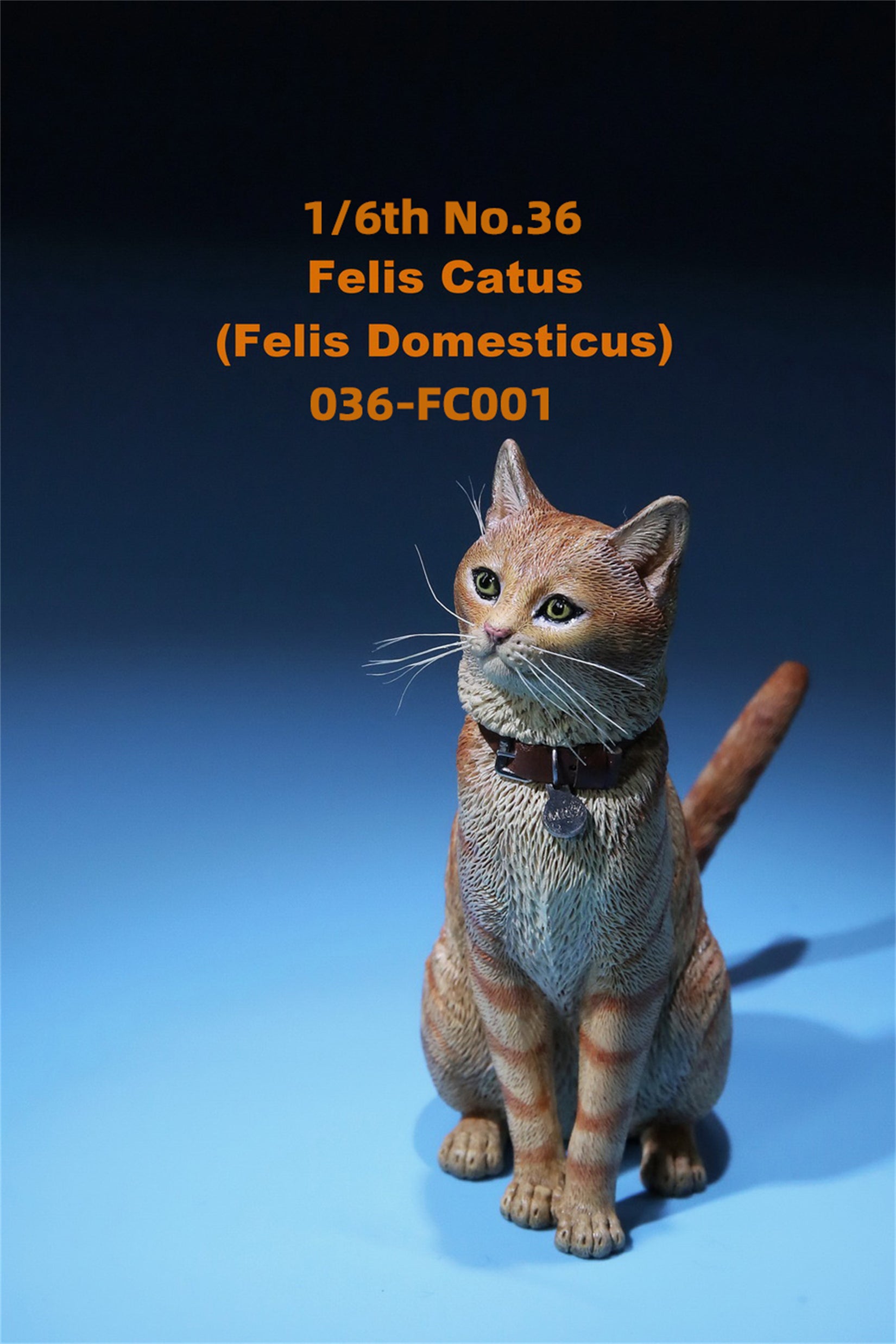 1/6 Domestic Cat Figure