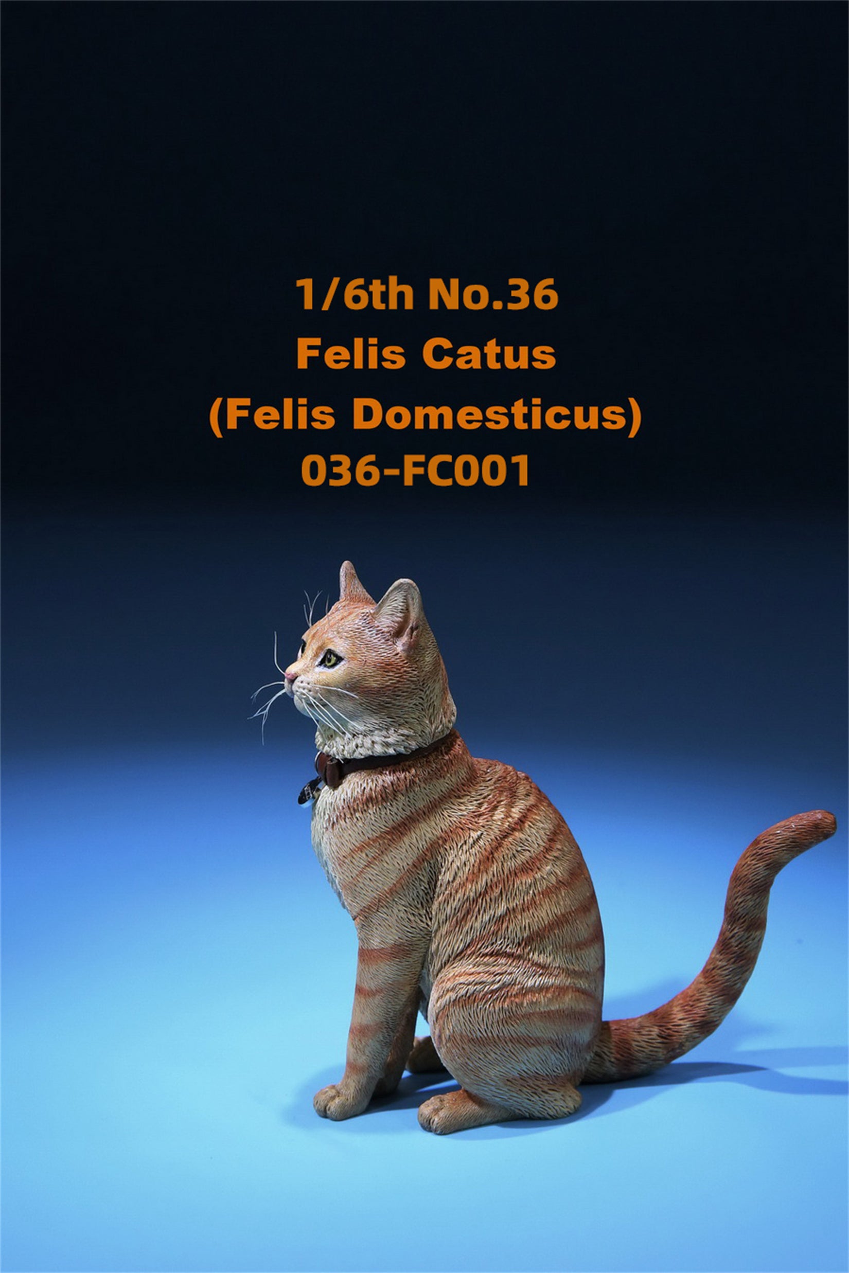 1/6 Domestic Cat Figure