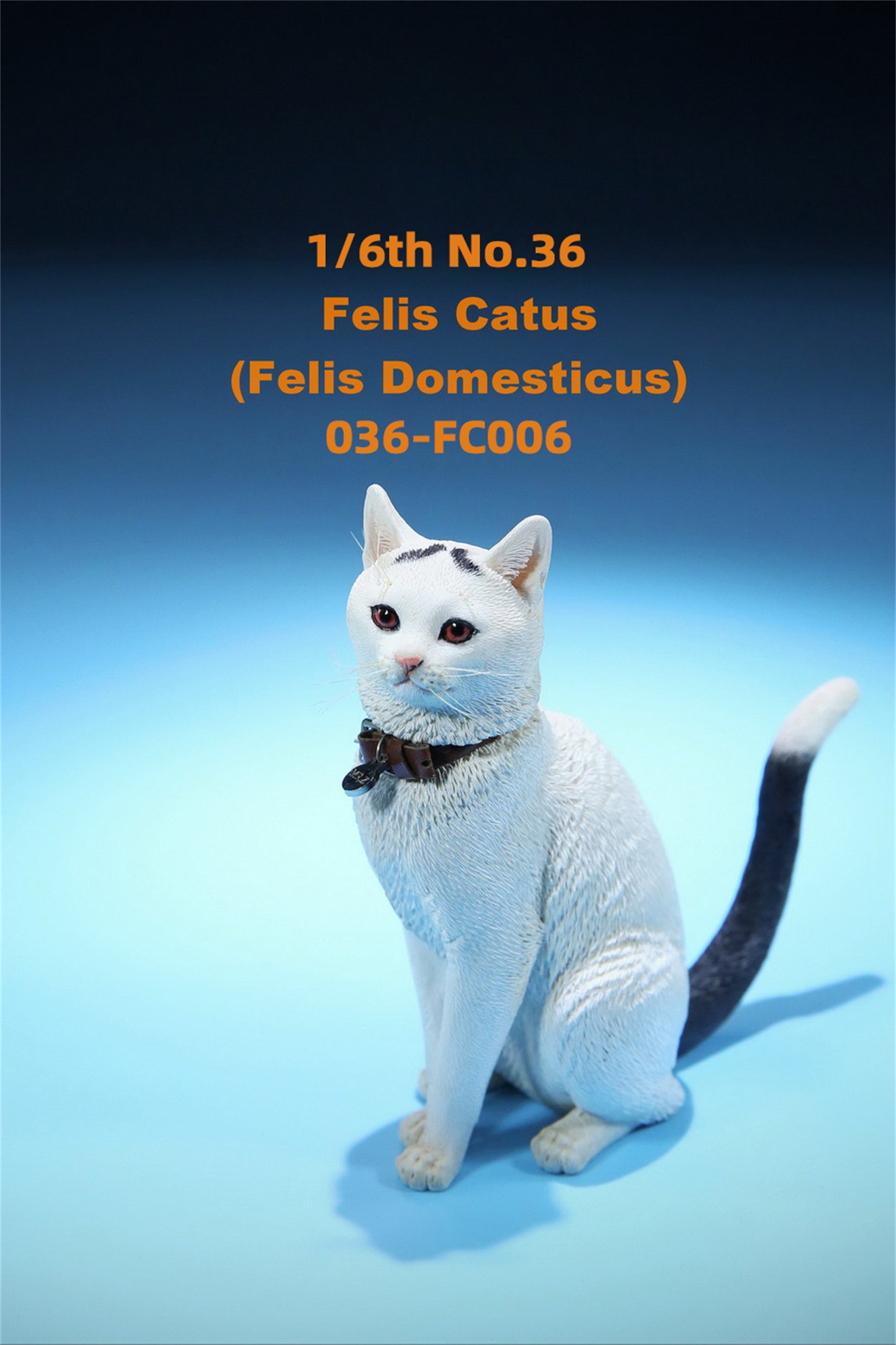 1/6 Domestic Cat Figure